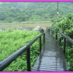 Eden Wilds